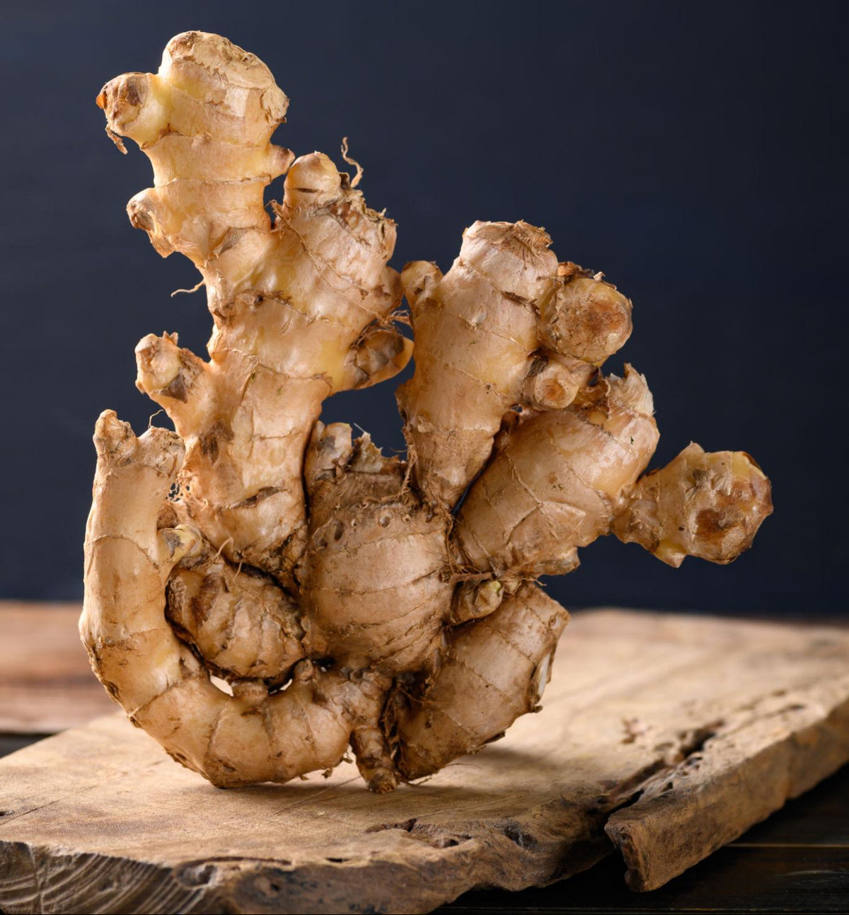 GINGER